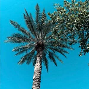 Meet your Posher, Jillian